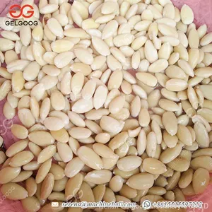Almond Skin Peeler Machine 0.75kw Power Almond Skin Removing Machine thumbnail-4