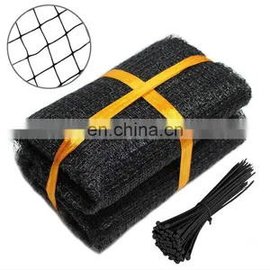 China Manufacture Supply Garden Bird Mesh Anti Bird Mesh Anti Mole Mesh Netting thumbnail-1