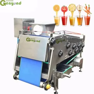 Factory Small 500kg/H Apple Juicer Fruit Belt Type Juice Extraction Equipment thumbnail-2