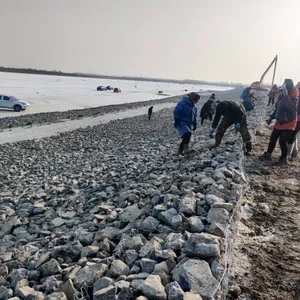 Lianqi Network Industry Gabion Stone Cage for Farmland Construction, Single Partition 80*100 Gabion Stone Cage thumbnail-2