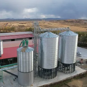 500T Hopper Bottom Grain Silo for Corn Wheat Rice Soybean Paddy Grain Storage System thumbnail-4