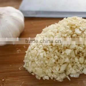 Electric High Output Garlic Grinding Machine thumbnail-5