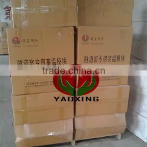 Refractory Ceramic Fiber Module for Aluminium Furnace Ceramic Fiber Module Kiln Ceramic Fiber Module thumbnail-1