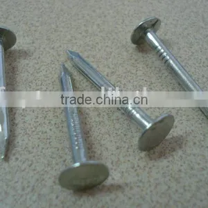 Galvanized Coated Broad Head Nails thumbnail-1