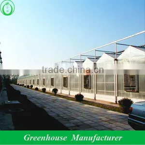 Greenhouse Suppliers for Agricultural Use thumbnail-1