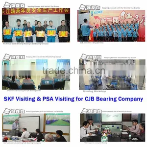 Famous CJB Long Life Automobile Peugeot Front Wheel Hub Bearing thumbnail-5