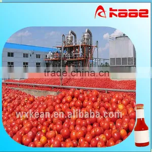 High Quality Whole Set Tomato Paste Making Equipments Include Washing,crushing,sterilizing,filling Machine thumbnail-1