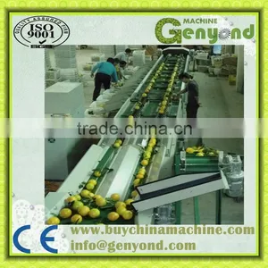Dragon Fruit Grading Machine thumbnail-1