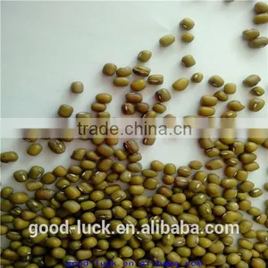 2011 New Crop Mung Bean thumbnail-2