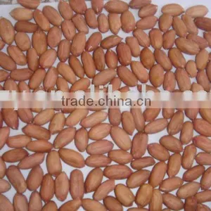 Blanched Peanut Kernel thumbnail-1