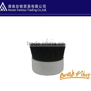 Boiled Bristle thumbnail-1