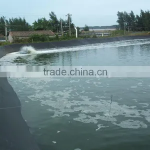 Shrimp Farming Film thumbnail-1