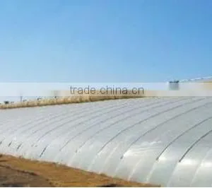 High Quality Transparent Greenhouse Film , Agricultural Film, Farm Film thumbnail-3