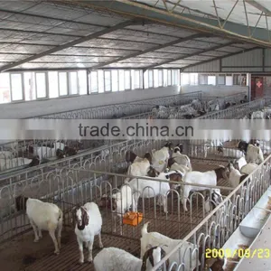 Prefabricated Steel Structure Warehouse With ISO9001 Certify thumbnail-5