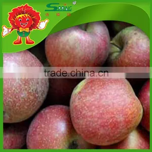 Fuji Apples High Quality Without Chemical Pesticide Fuji Apple thumbnail-2