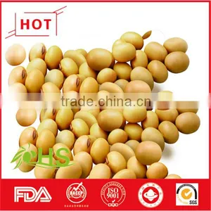 Hot Sale Dried Soybeans in Bulk With High Quality thumbnail-2