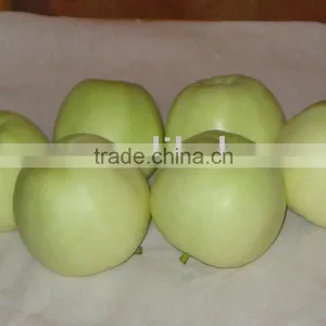 Golden Delicious Apple Fruit thumbnail-1