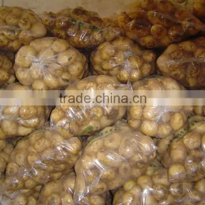 New Crop Fresh Shandong Potato for Sale thumbnail-1