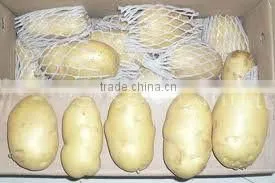 2016 China Fresh Potato thumbnail-4