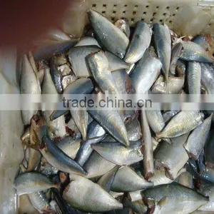 Sardine thumbnail-1