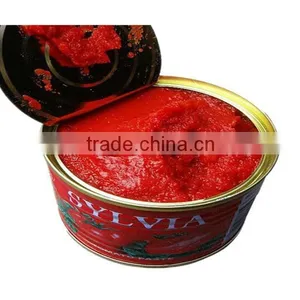 Tomato Paste 198g With Easy Open or Normal Open Lid Tomato Paste Brands thumbnail-1