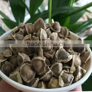 Food Grade Best Extract Moringa Seeds Prices thumbnail-3