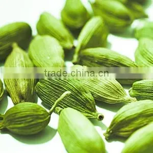 Cardamom thumbnail-1