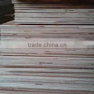 Packing Grade Laminated 18mm Eucalyptus Plywood thumbnail-2