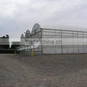 Greenhouse Plastic Film Grennhouse Galvanized Steel Frame Greenhouse thumbnail-1