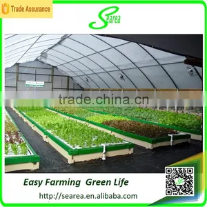 Hot Sale Single-span Plastic Grow Tent/green House for Agriculture thumbnail-2