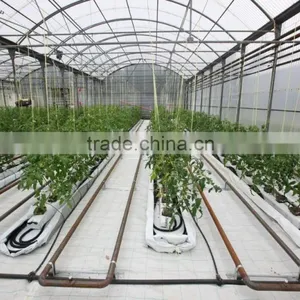 Poly Tunnel Agricultural Greenhouse thumbnail-2