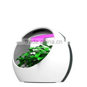 Natural Purification Colorful Intelligent Desktop Growing System thumbnail-1