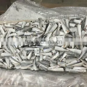 Frozen Sardine HGT thumbnail-1