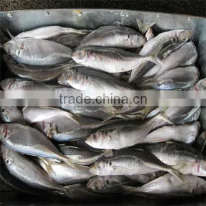 Cooked Frozen Seafood Fillet Fish thumbnail-1