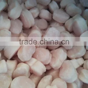 Wholesale Frozen Fresh Pen Shell Scallop in Season thumbnail-1