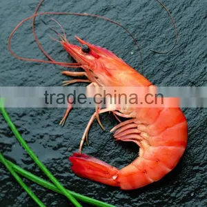 Black Tiger Prawn thumbnail-5