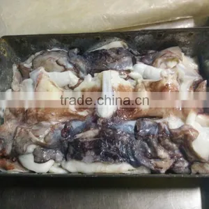 Frozen Giant Squid Neck thumbnail-1