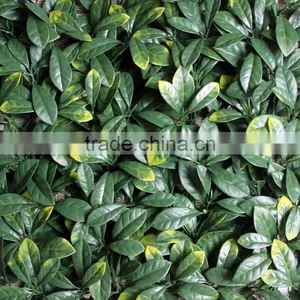 Artificial Grass Mat for Make Hedge thumbnail-2
