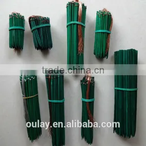 Dyed Bamboo Sticks for Supporting Tomato thumbnail-1