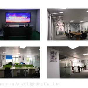 Shenzhen Aulex Lighting Co., Ltd company overview - view 1 thumbnail