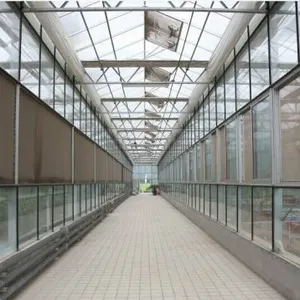 Agricultural Glass Greenhouse for Planting/Hydroponic Planting thumbnail-4