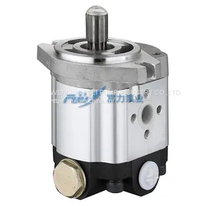 Engineering Gear Pump Hydraulic Gear Pump for FUTIAN Tractor Pump KT1304.40Y.030 thumbnail-1