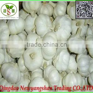 Fresh Pure White Garlic Price in China thumbnail-1