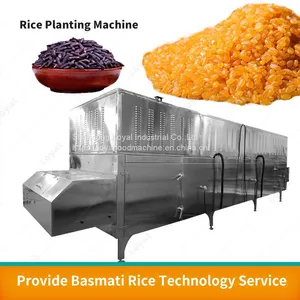 Nutrition Rice Machine Instant Rice Processing Line Artificial Instant Rice Food Machine thumbnail-1