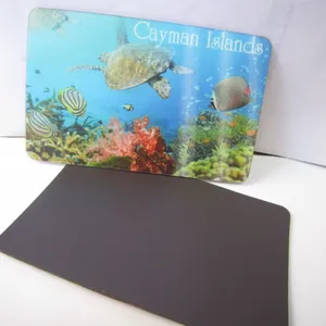 Souvenir Promotional Gifts 3D Lenticular Fridge Magnet thumbnail-5