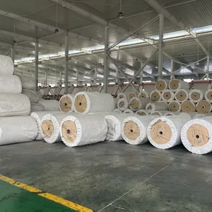 Wholesale PP Woven Laminate Fabric Roll for FIBC Jumbo Bags - Custom Sizes thumbnail-5