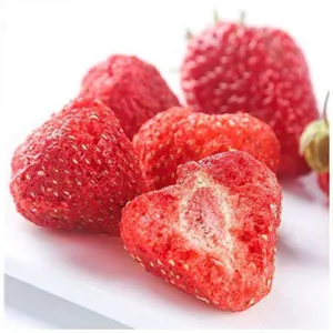 Large-scale Vacuum Freeze Dryer for Fruit Drying thumbnail-3