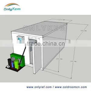 China Commercial Freezer for Fish and Chicken thumbnail-2