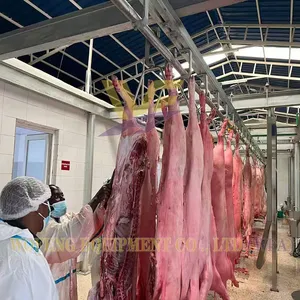 Bull HACCP Cattle Slaughter House Line Cow Butchery Equipment Abattoir Machinery Beef Processing Rail Plant Production Machine thumbnail-5