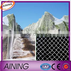 Anti Bird Netting for Catching Birds&plastic Bird Net&bird Netting Wire Mesh thumbnail-1